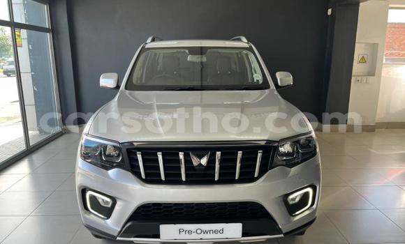 Buy Used Mahindra Scorpio Silver Car in Qacha's Nek in Quthing Buy Used Mahindra Scorpio Silver Car in Qacha's Nek in Quthing