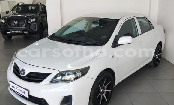 Buy Used Toyota Corolla White Car in Maseru in Maseru Buy Used Toyota Corolla White Car in Maseru in Maseru