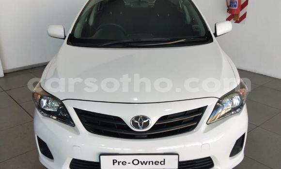 Buy Used Toyota Corolla White Car in Maseru in Maseru Buy Used Toyota Corolla White Car in Maseru in Maseru