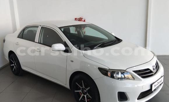 Buy Used Toyota Corolla White Car in Maseru in Maseru Buy Used Toyota Corolla White Car in Maseru in Maseru