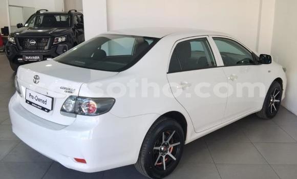 Buy Used Toyota Corolla White Car in Maseru in Maseru Buy Used Toyota Corolla White Car in Maseru in Maseru