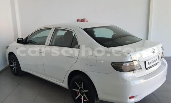 Buy Used Toyota Corolla White Car in Maseru in Maseru Buy Used Toyota Corolla White Car in Maseru in Maseru