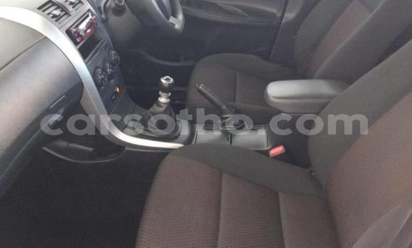 Buy Used Toyota Corolla White Car in Maseru in Maseru Buy Used Toyota Corolla White Car in Maseru in Maseru