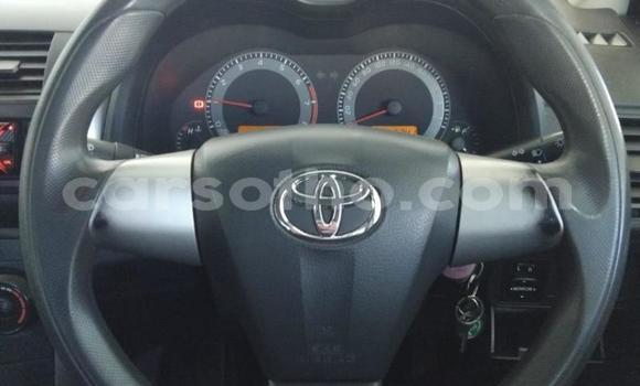 Buy Used Toyota Corolla White Car in Maseru in Maseru Buy Used Toyota Corolla White Car in Maseru in Maseru