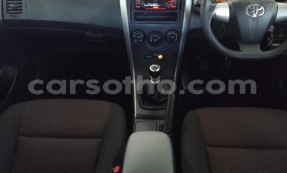 Buy Used Toyota Corolla White Car in Maseru in Maseru Buy Used Toyota Corolla White Car in Maseru in Maseru