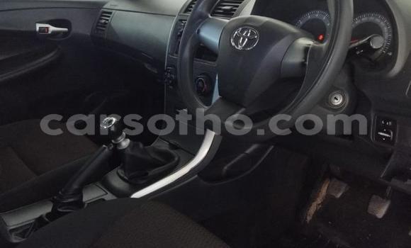 Buy Used Toyota Corolla White Car in Maseru in Maseru Buy Used Toyota Corolla White Car in Maseru in Maseru