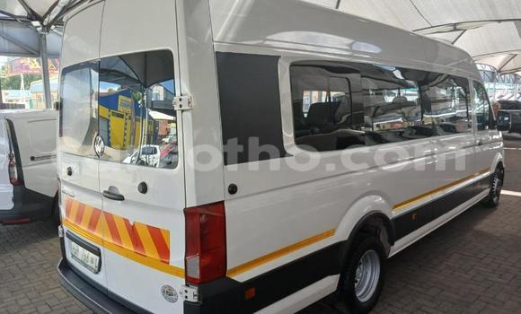 Buy Used Volkswagen 181 White Car in Maseru in Maseru Buy Used Volkswagen 181 White Car in Maseru in Maseru