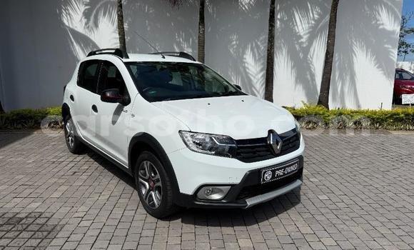 Buy Used Renault Sandero White Car in Maseru in Maseru