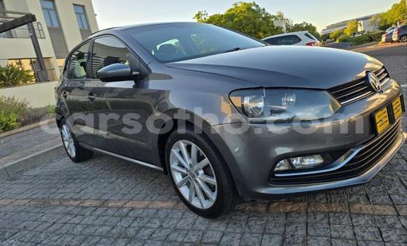 Buy Used Volkswagen Polo Other Car in Maseru in Maseru Buy Used Volkswagen Polo Other Car in Maseru in Maseru