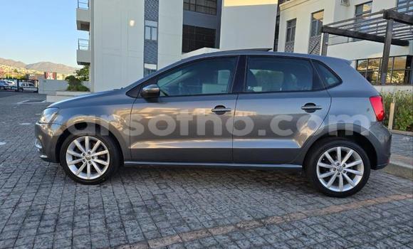 Buy Used Volkswagen Polo Other Car in Maseru in Maseru Buy Used Volkswagen Polo Other Car in Maseru in Maseru