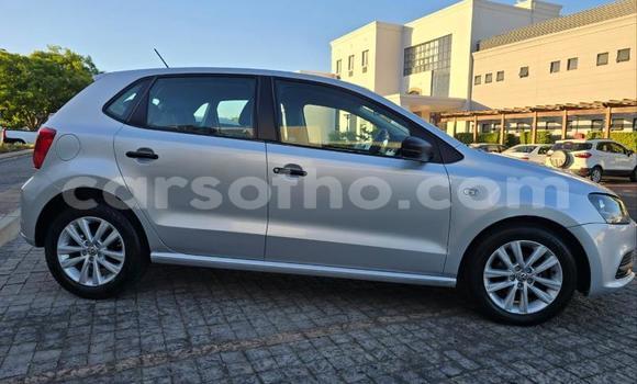 Buy Used Volkswagen Polo Silver Car in Maseru in Maseru Buy Used Volkswagen Polo Silver Car in Maseru in Maseru