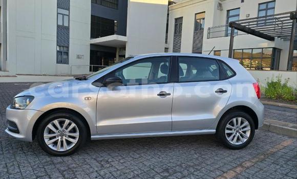 Buy Used Volkswagen Polo Silver Car in Maseru in Maseru Buy Used Volkswagen Polo Silver Car in Maseru in Maseru