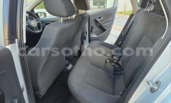 Buy Used Volkswagen Polo Silver Car in Maseru in Maseru Buy Used Volkswagen Polo Silver Car in Maseru in Maseru