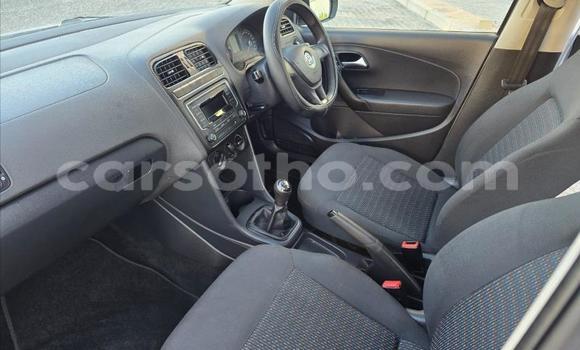 Buy Used Volkswagen Polo Silver Car in Maseru in Maseru Buy Used Volkswagen Polo Silver Car in Maseru in Maseru