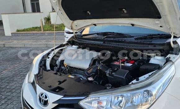 Buy Used Toyota Yaris White Car in Maseru in Maseru Buy Used Toyota Yaris White Car in Maseru in Maseru