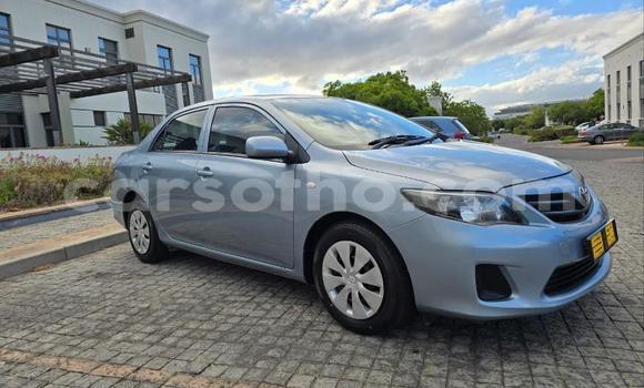 Buy Used Toyota Corolla Blue Car in Maseru in Maseru Buy Used Toyota Corolla Blue Car in Maseru in Maseru