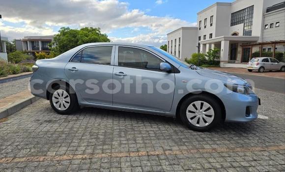 Buy Used Toyota Corolla Blue Car in Maseru in Maseru Buy Used Toyota Corolla Blue Car in Maseru in Maseru