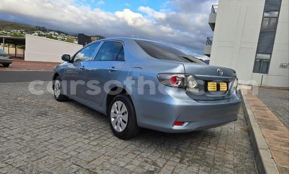 Buy Used Toyota Corolla Blue Car in Maseru in Maseru Buy Used Toyota Corolla Blue Car in Maseru in Maseru