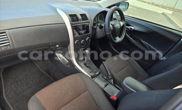 Buy Used Toyota Corolla Blue Car in Maseru in Maseru Buy Used Toyota Corolla Blue Car in Maseru in Maseru