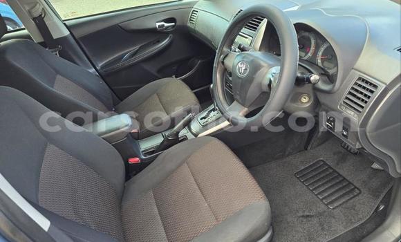 Buy Used Toyota Corolla Blue Car in Maseru in Maseru Buy Used Toyota Corolla Blue Car in Maseru in Maseru