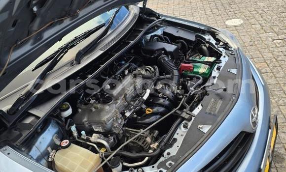 Buy Used Toyota Corolla Blue Car in Maseru in Maseru Buy Used Toyota Corolla Blue Car in Maseru in Maseru