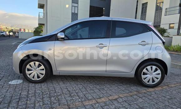 Buy Used Toyota Aygo Silver Car in Maseru in Maseru Buy Used Toyota Aygo Silver Car in Maseru in Maseru
