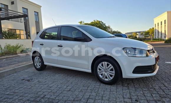 Buy Used Volkswagen Polo White Car in Maseru in Maseru Buy Used Volkswagen Polo White Car in Maseru in Maseru