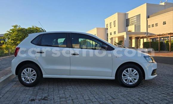 Buy Used Volkswagen Polo White Car in Maseru in Maseru Buy Used Volkswagen Polo White Car in Maseru in Maseru