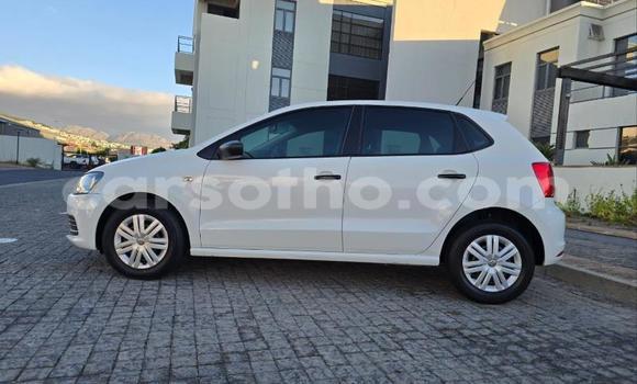 Buy Used Volkswagen Polo White Car in Maseru in Maseru Buy Used Volkswagen Polo White Car in Maseru in Maseru