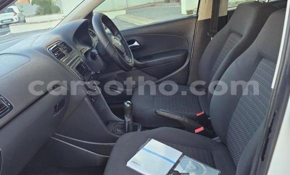 Buy Used Volkswagen Polo White Car in Maseru in Maseru Buy Used Volkswagen Polo White Car in Maseru in Maseru