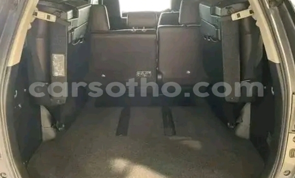 Buy Used Toyota Fortuner Other Car in Peka in Leribe Buy Used Toyota Fortuner Other Car in Peka in Leribe