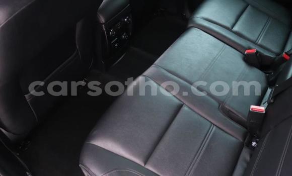 Buy Used Ford Everest White Car in Peka in Leribe Buy Used Ford Everest White Car in Peka in Leribe