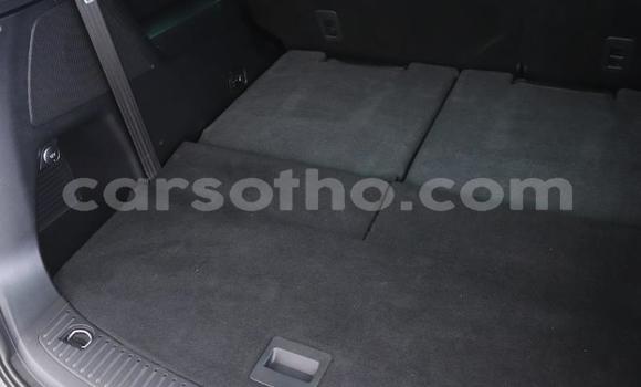 Buy Used Ford Everest White Car in Peka in Leribe Buy Used Ford Everest White Car in Peka in Leribe