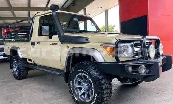 Buy Used Toyota Land Cruiser Beige Car in Maseru in Maseru