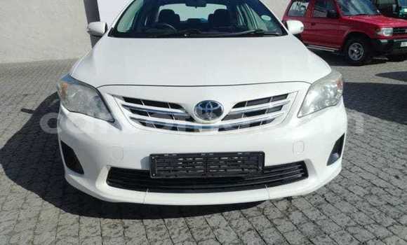 Buy Used Toyota Corolla White Car in Maseru in Maseru