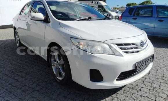 Buy Used Toyota Corolla White Car in Maseru in Maseru Buy Used Toyota Corolla White Car in Maseru in Maseru