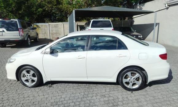 Buy Used Toyota Corolla White Car in Maseru in Maseru Buy Used Toyota Corolla White Car in Maseru in Maseru