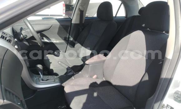 Buy Used Toyota Corolla White Car in Maseru in Maseru Buy Used Toyota Corolla White Car in Maseru in Maseru