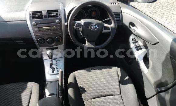 Buy Used Toyota Corolla White Car in Maseru in Maseru Buy Used Toyota Corolla White Car in Maseru in Maseru