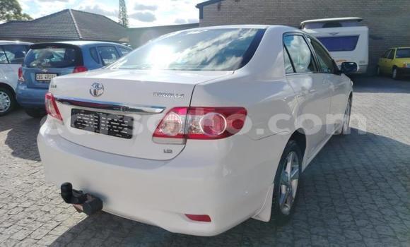 Buy Used Toyota Corolla White Car in Maseru in Maseru Buy Used Toyota Corolla White Car in Maseru in Maseru