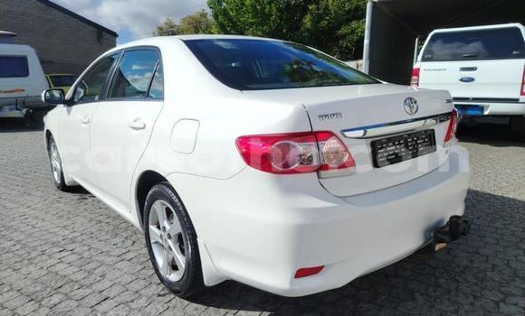 Buy Used Toyota Corolla White Car in Maseru in Maseru Buy Used Toyota Corolla White Car in Maseru in Maseru