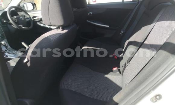 Buy Used Toyota Corolla White Car in Maseru in Maseru Buy Used Toyota Corolla White Car in Maseru in Maseru