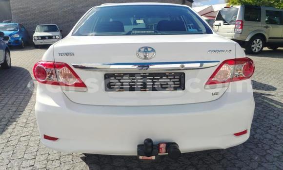 Buy Used Toyota Corolla White Car in Maseru in Maseru Buy Used Toyota Corolla White Car in Maseru in Maseru