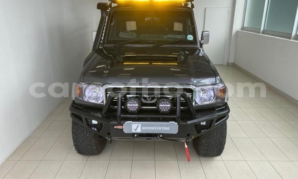 Buy Used Toyota Land Cruiser Black Car in Maseru in Maseru
