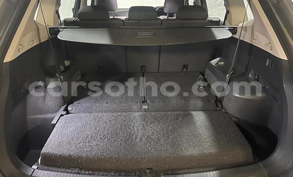 Buy Used Volkswagen Tiguan Silver Car in Maseru in Maseru Buy Used Volkswagen Tiguan Silver Car in Maseru in Maseru