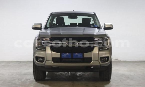 Acheter Occasion Voiture Ford Ranger Gris à Maseru, Maseru