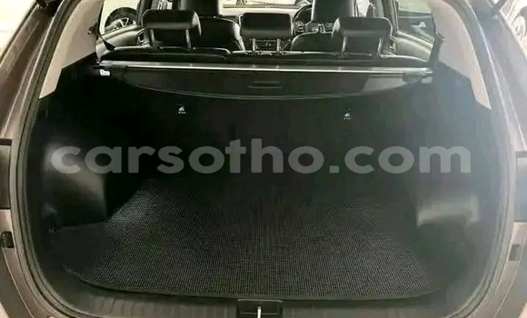 Buy Used Kia Picanto Silver Car in Maseru in Maseru Buy Used Kia Picanto Silver Car in Maseru in Maseru