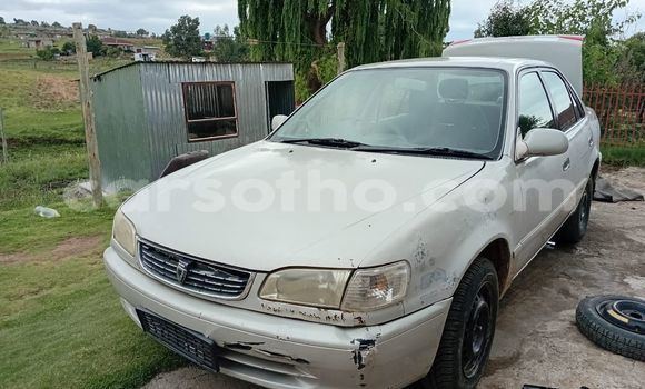 Buy Used Toyota Camry Other Car in Maseru in Maseru