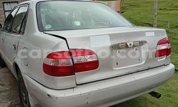 Buy Used Toyota Camry Other Car in Maseru in Maseru Buy Used Toyota Camry Other Car in Maseru in Maseru