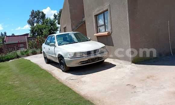 Buy Used Toyota Camry Other Car in Maseru in Maseru Buy Used Toyota Camry Other Car in Maseru in Maseru